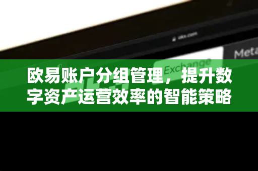 欧易账户分组管理,提升数字资产运营效率的智能策略 欧易账户分组管理,提升数字资产运营效率的智能策略