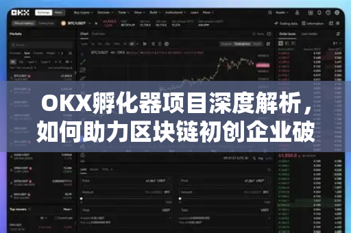 OKX孵化器项目深度解析,如何助力区块链初创企业破局成长 OKX孵化器项目深度解析,如何助力区块链初创企业破局成长