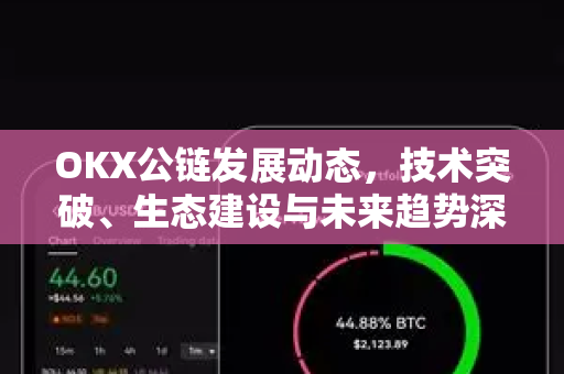 OKX公链发展动态,技术突破、生态建设与未来趋势深度解读 OKX公链发展动态,技术突破、生态建设与未来趋势深度解读