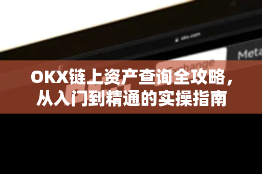 OKX链上资产查询全攻略,从入门到精通的实操指南 OKX链上资产查询全攻略,从入门到精通的实操指南