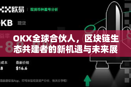 OKX全球合伙人,区块链生态共建者的新机遇与未来展望 OKX全球合伙人,区块链生态共建者的新机遇与未来展望