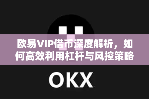 欧易VIP借币深度解析,如何高效利用杠杆与风控策略 欧易VIP借币深度解析,如何高效利用杠杆与风控策略