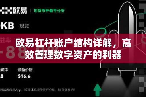 欧易杠杆账户结构详解，高效管理数字资产的利器