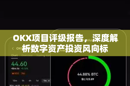OKX项目评级报告,深度解析数字资产投资风向标 OKX项目评级报告,深度解析数字资产投资风向标