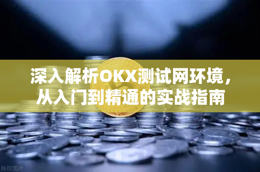 深入解析OKX测试网环境,从入门到精通的实战指南 深入解析OKX测试网环境,从入门到精通的实战指南